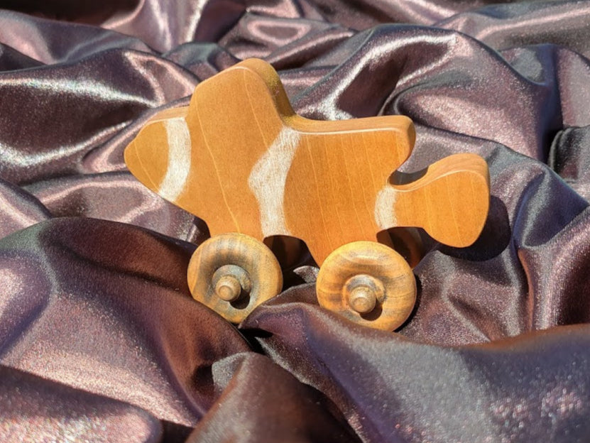 Clown Fish